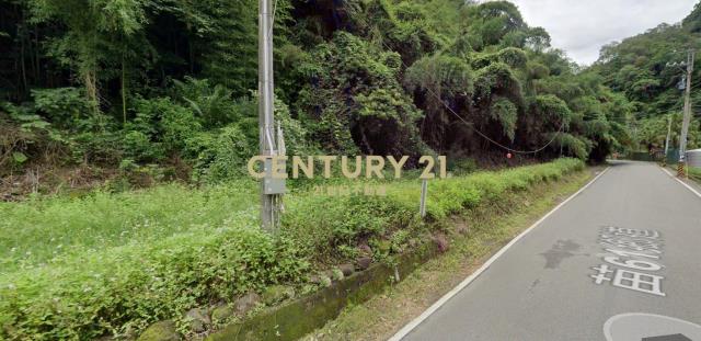 苗栗大湖山坡地10954坪