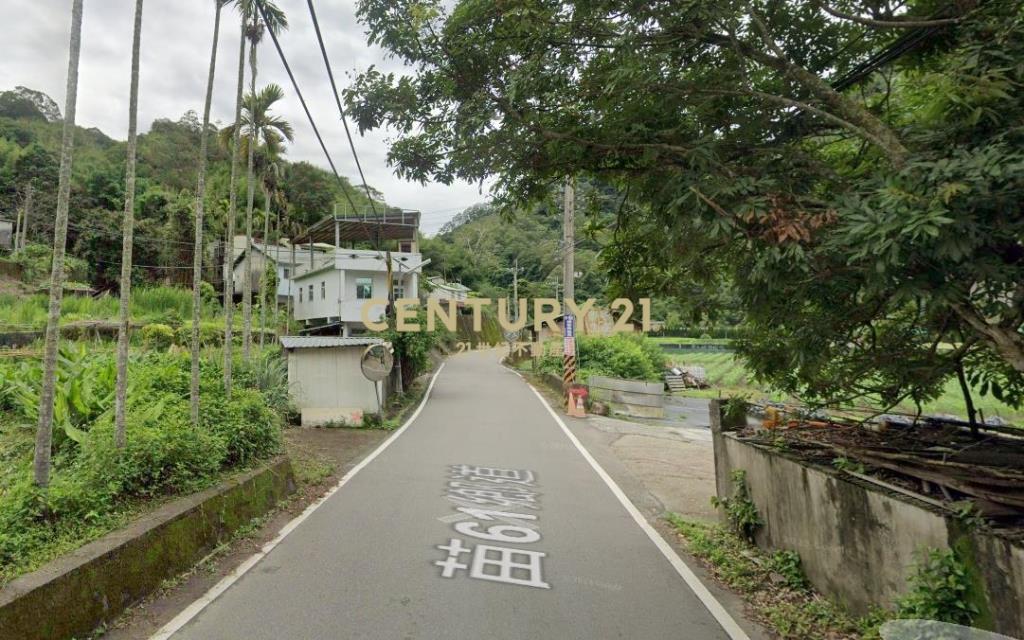 苗栗大湖山坡地10954坪