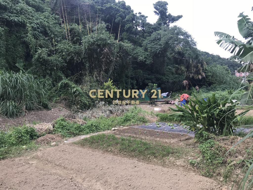 大溪面寬農地