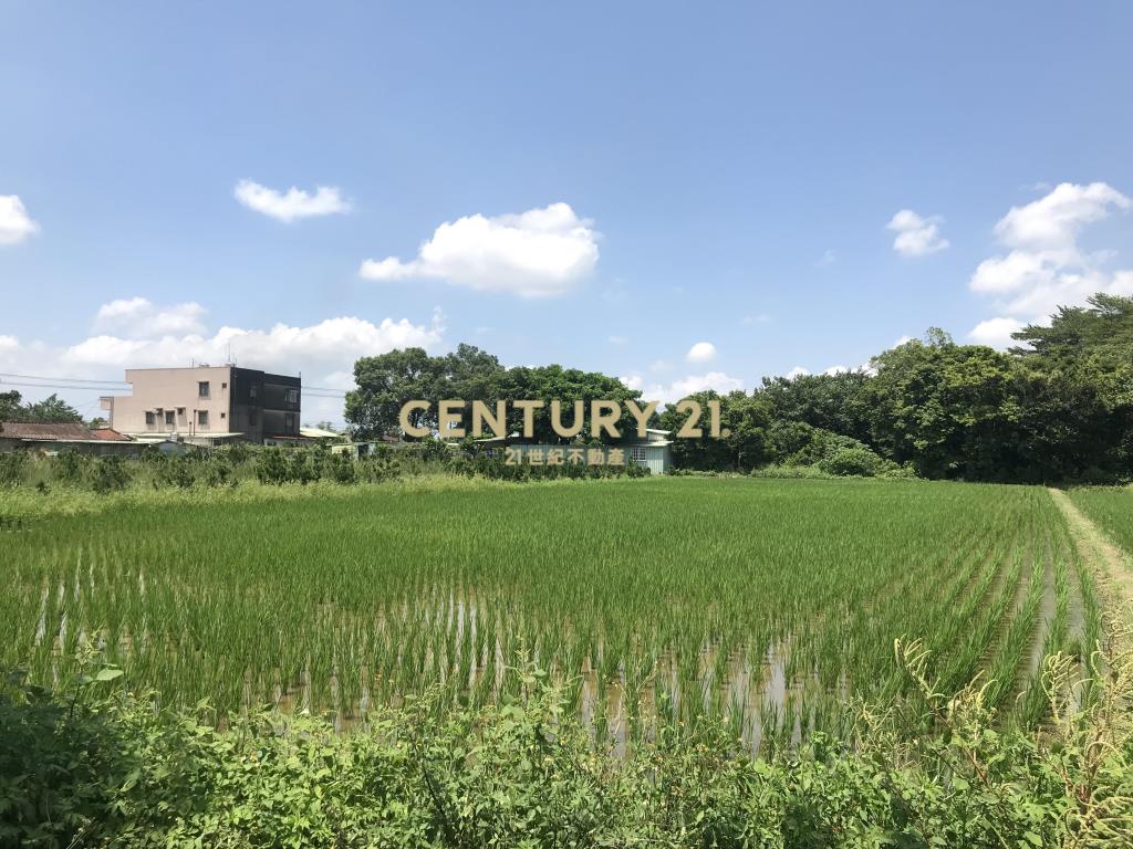 三層漂亮農地