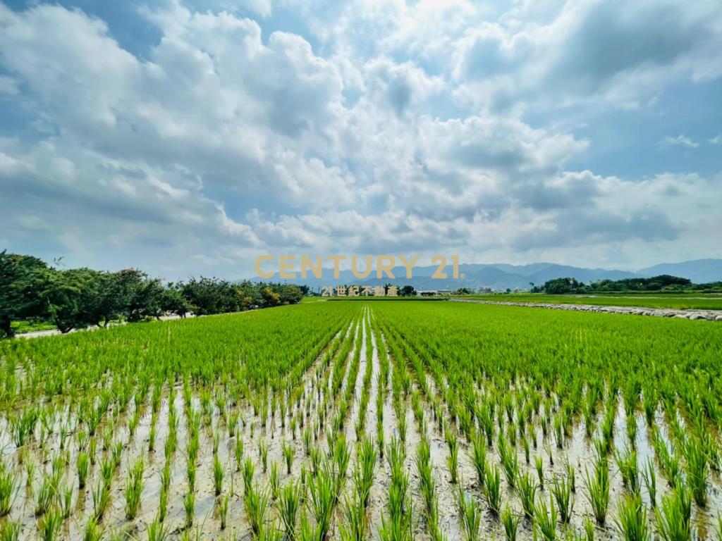 銅鑼稻香農地