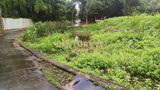 大溪丙建+農