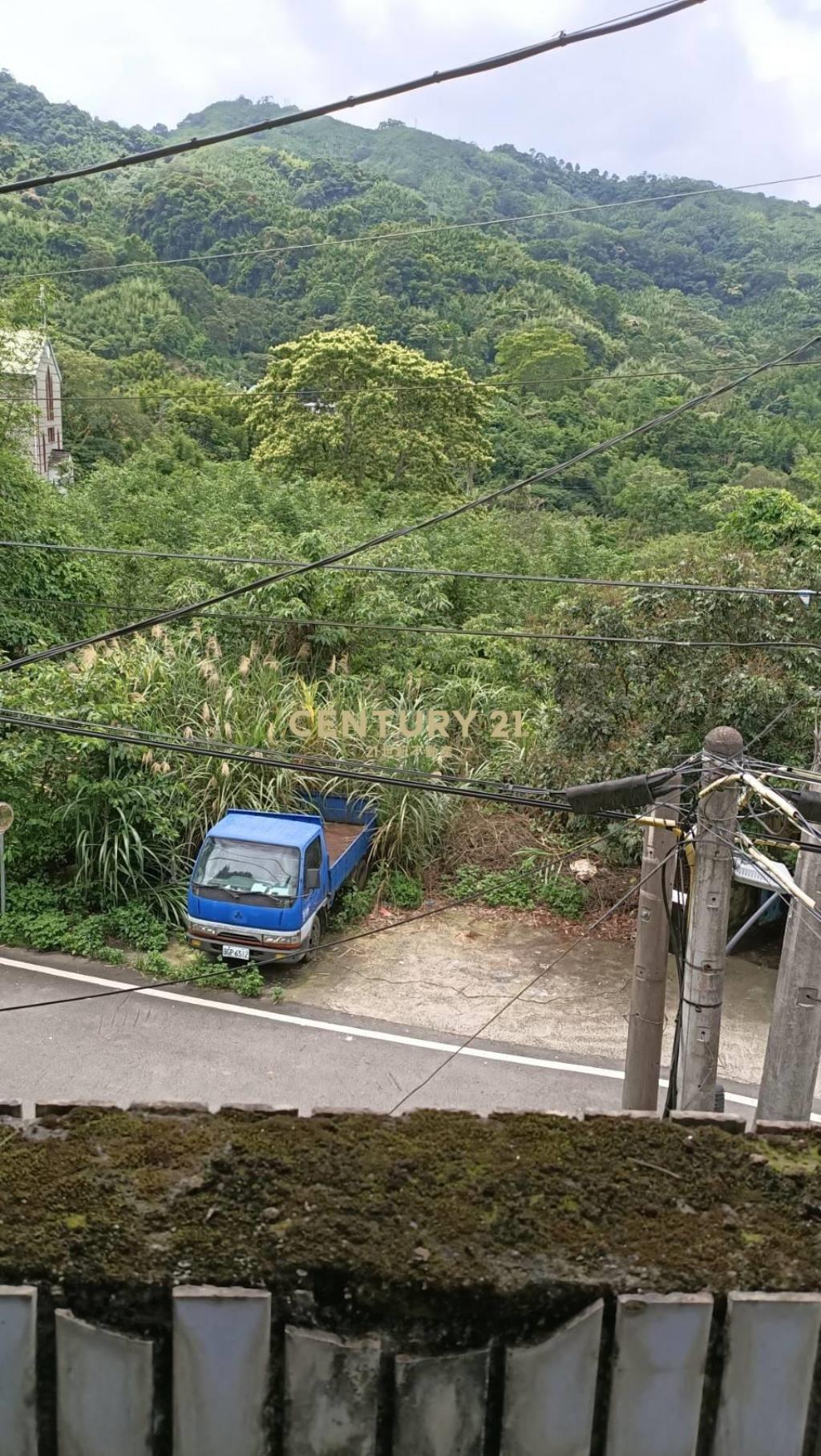 復興山野透天