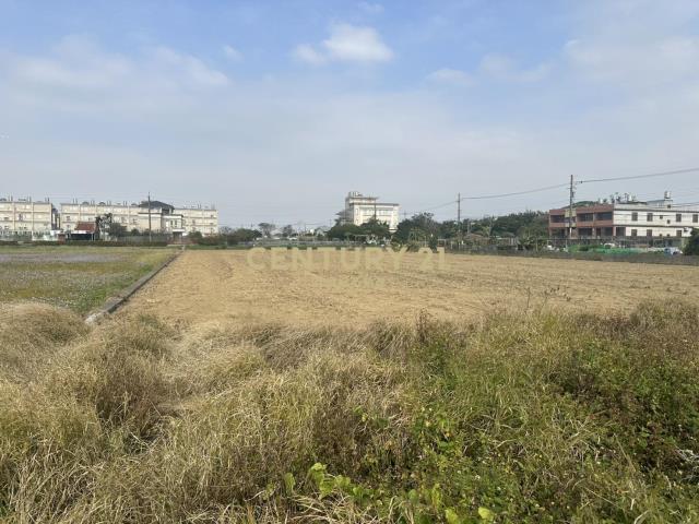 正楊湖路雙面路美田