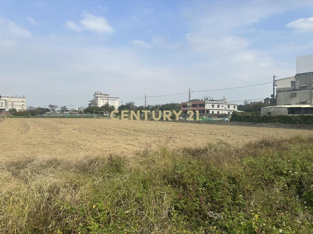 正楊湖路雙面路美田