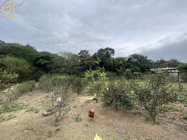 新竹橫山農地 桃園中壢房價