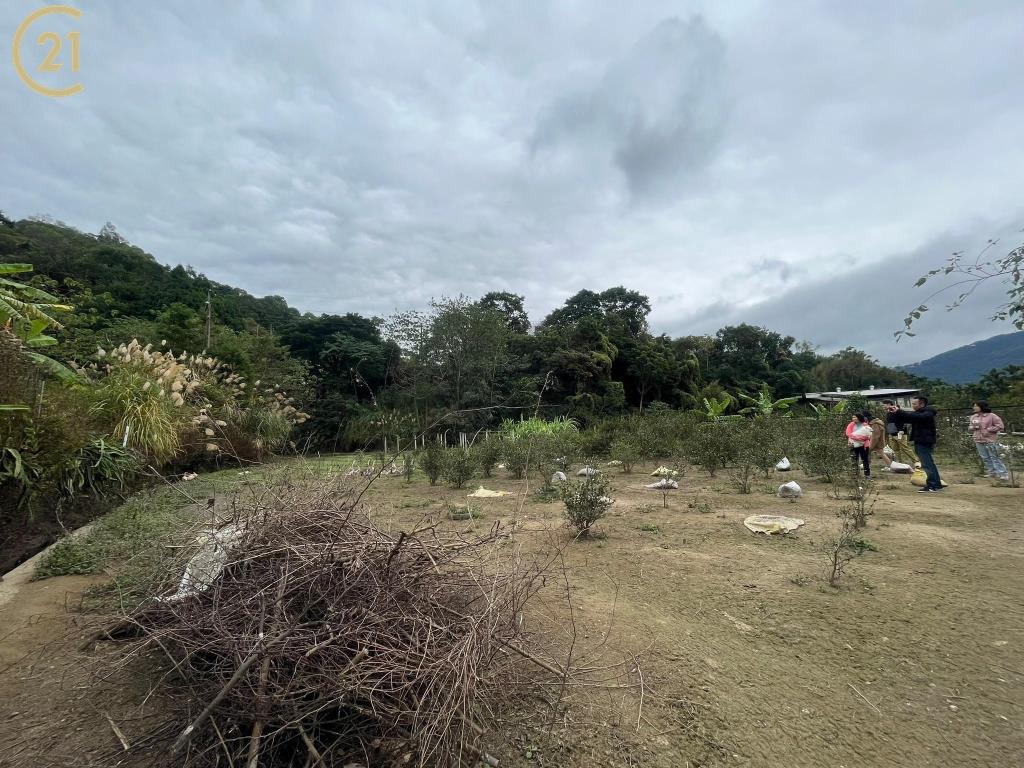 新竹橫山農地