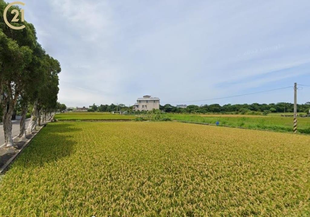 山東路三合一極致美農地