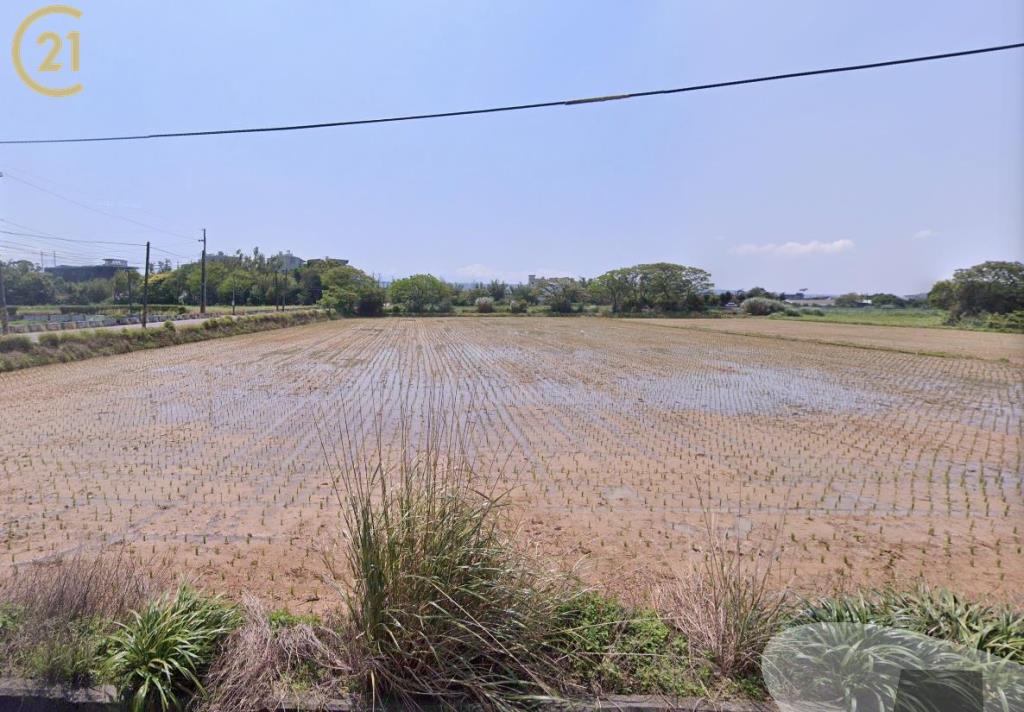 楊梅休閒農業區美農田 桃園中壢房價