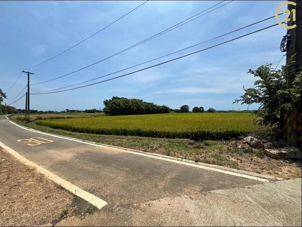 糠榔雙面路大面寬農地