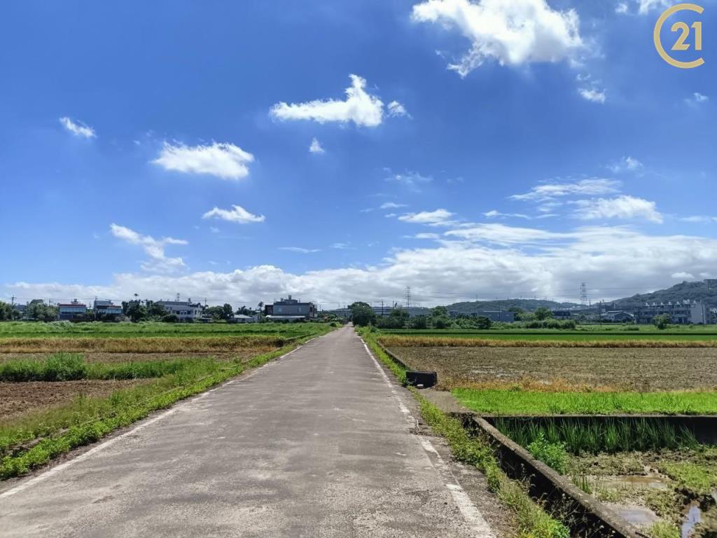 湖口湖新美農地