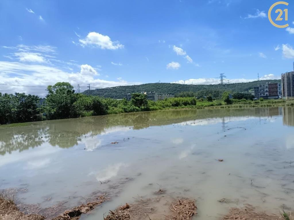 湖口湖新美農地