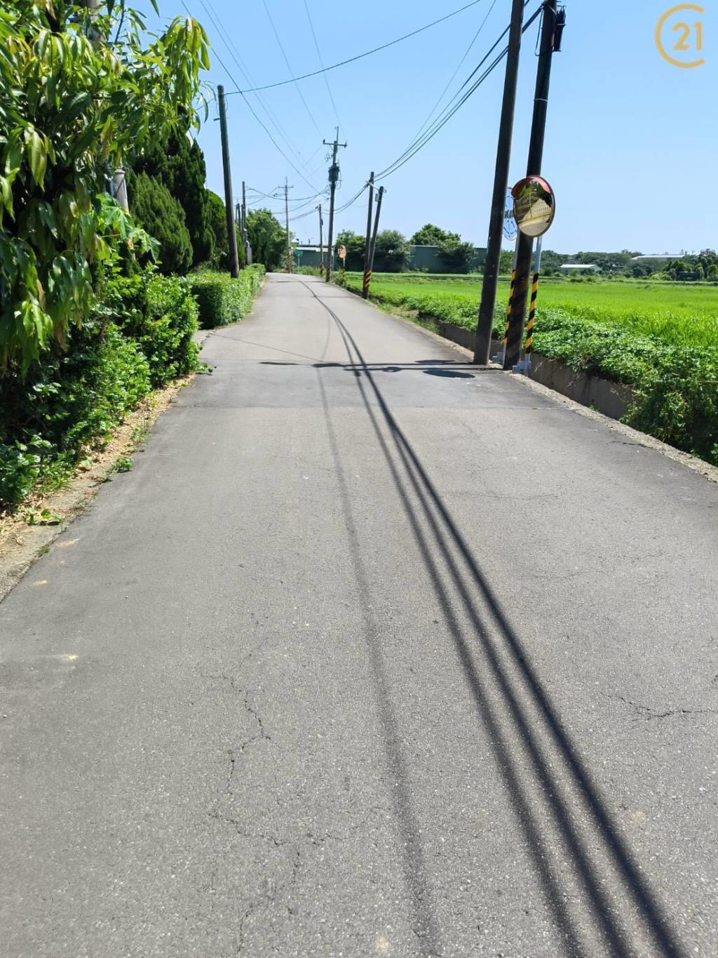 山東大莊路方正田