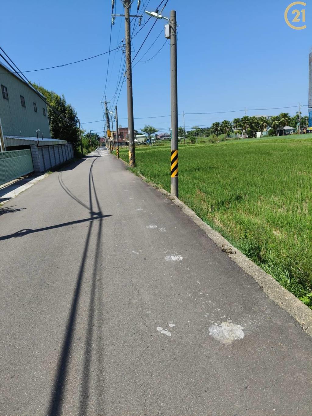 山東大莊路方正田