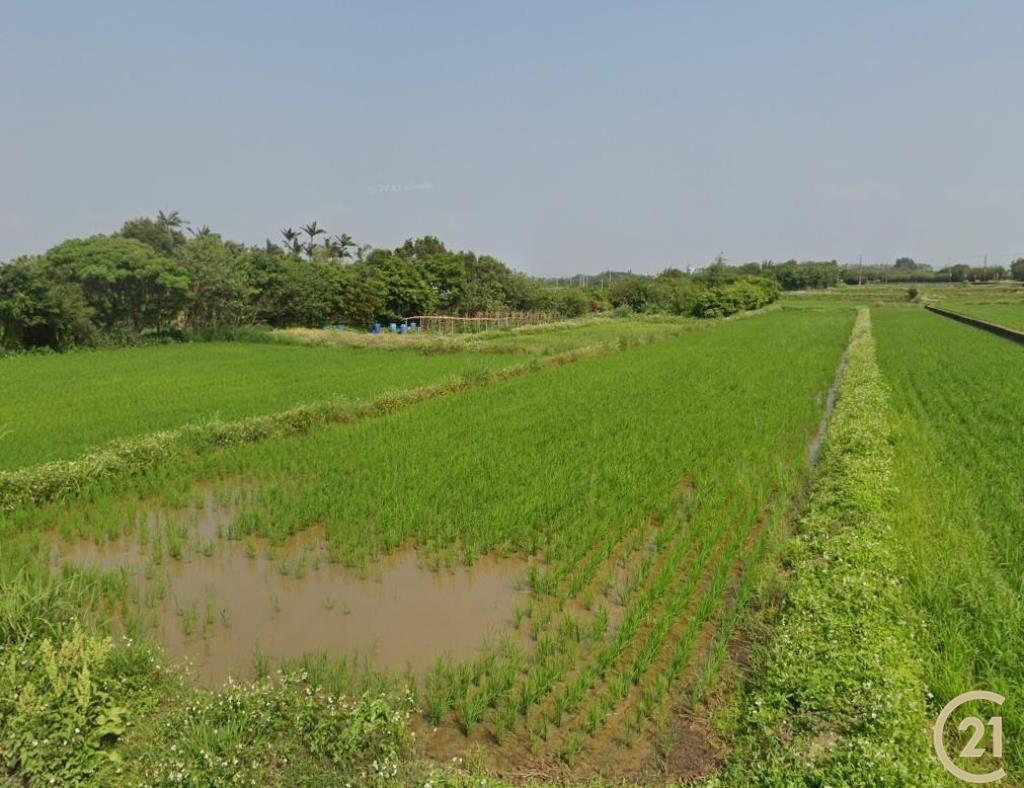 新屋社子休閒小農地