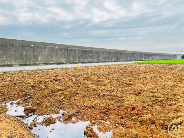 觀音66快速道路旁農地