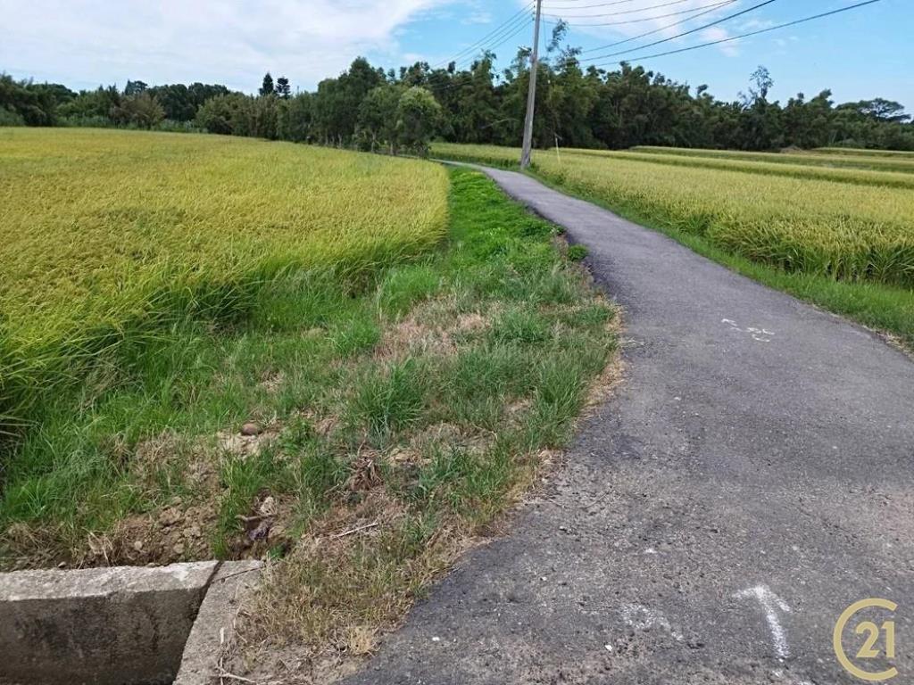 新屋雙面臨路方正農地