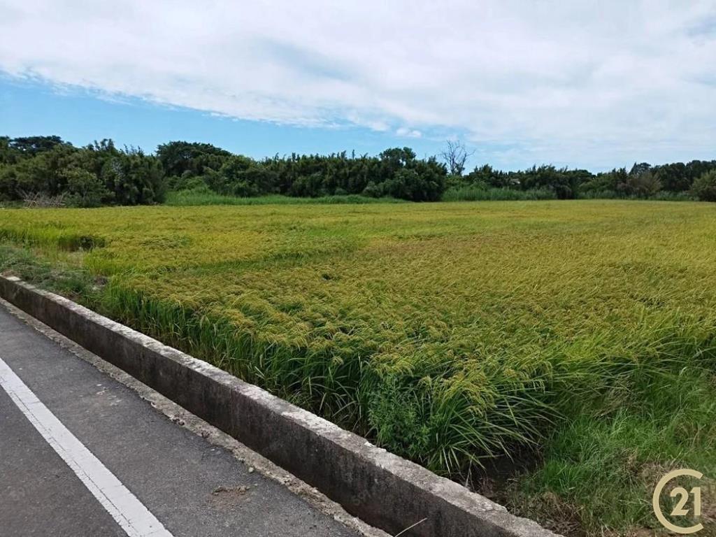 新屋雙面臨路方正農地