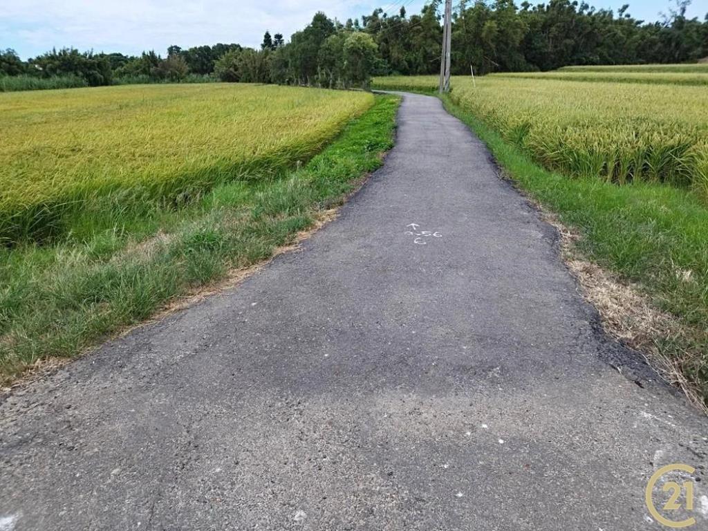 新屋雙面臨路方正農地