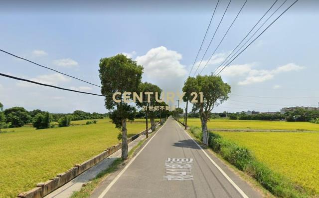 ㊣山東路雙面路美田