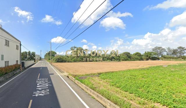 新屋正新湖路邊農地