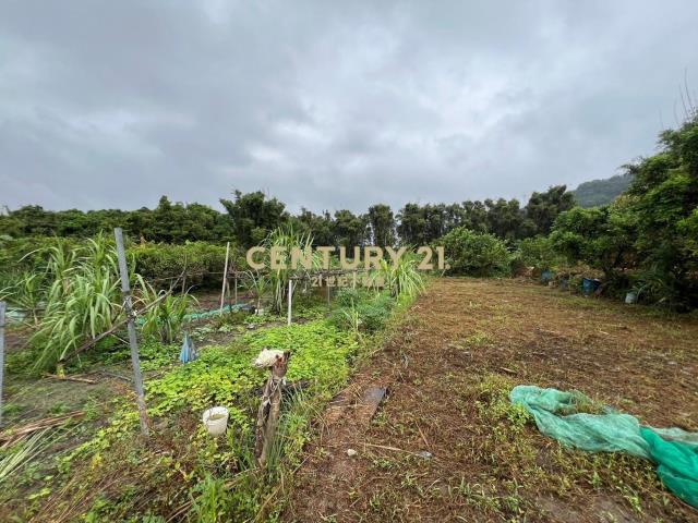 大溪信義路旁農地1471坪