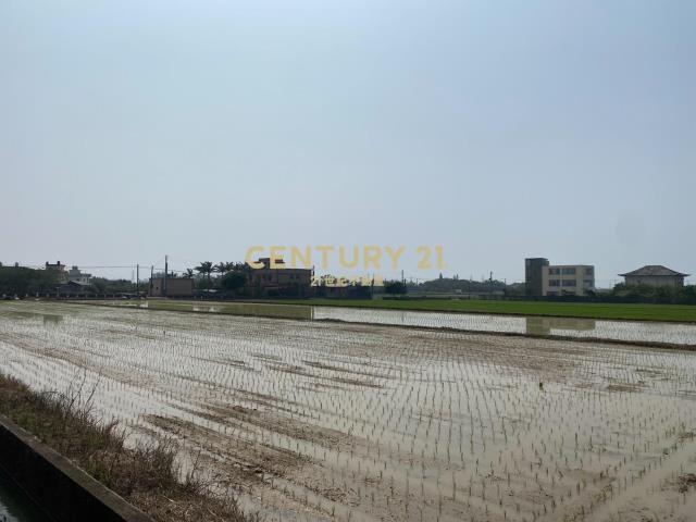 觀音上大段雙路美農地