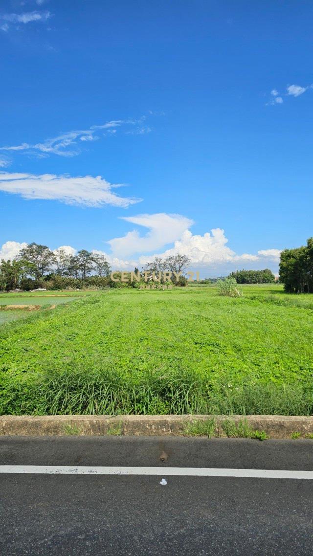 新屋新湖路美農地
