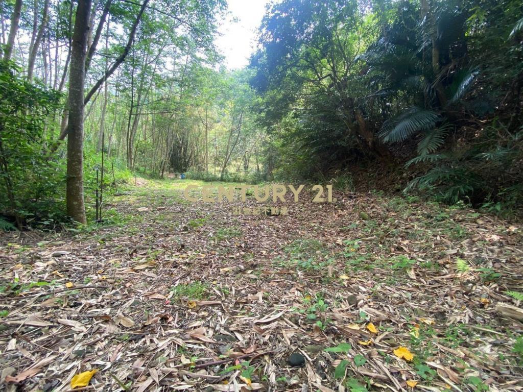 關西近南和國小小坪數山坡地