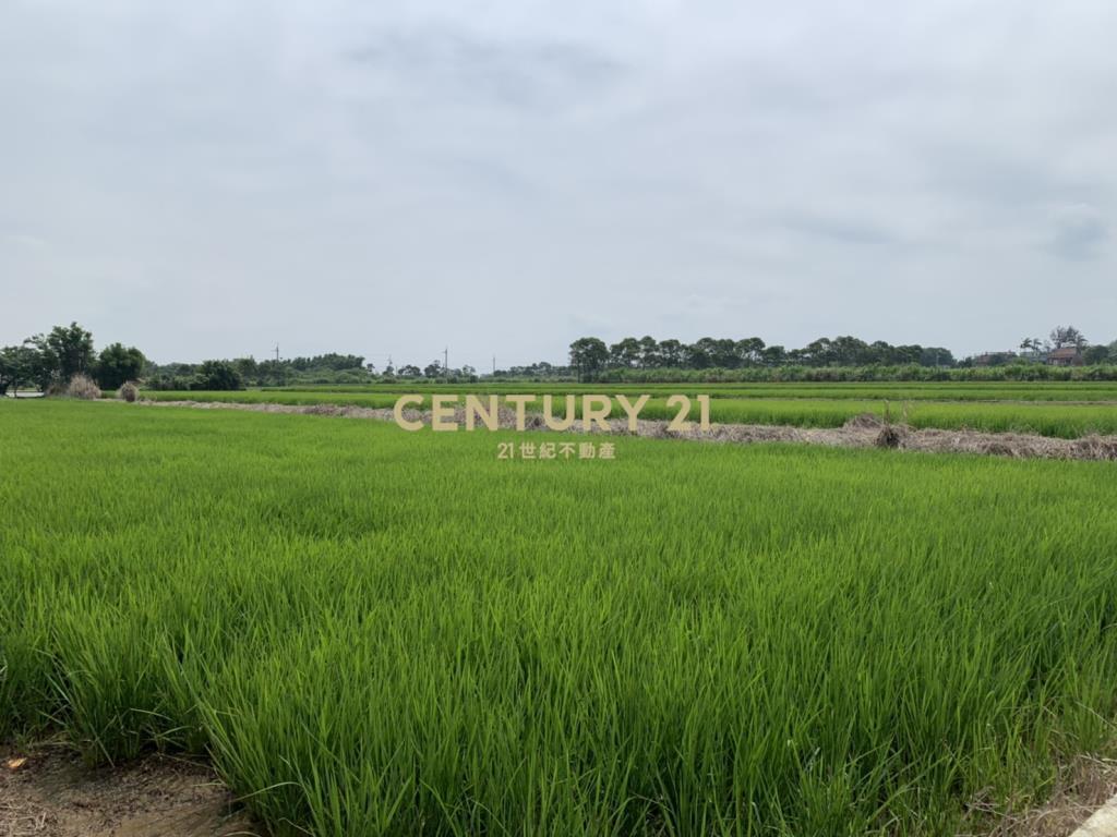 新屋農地  (分區一般農)