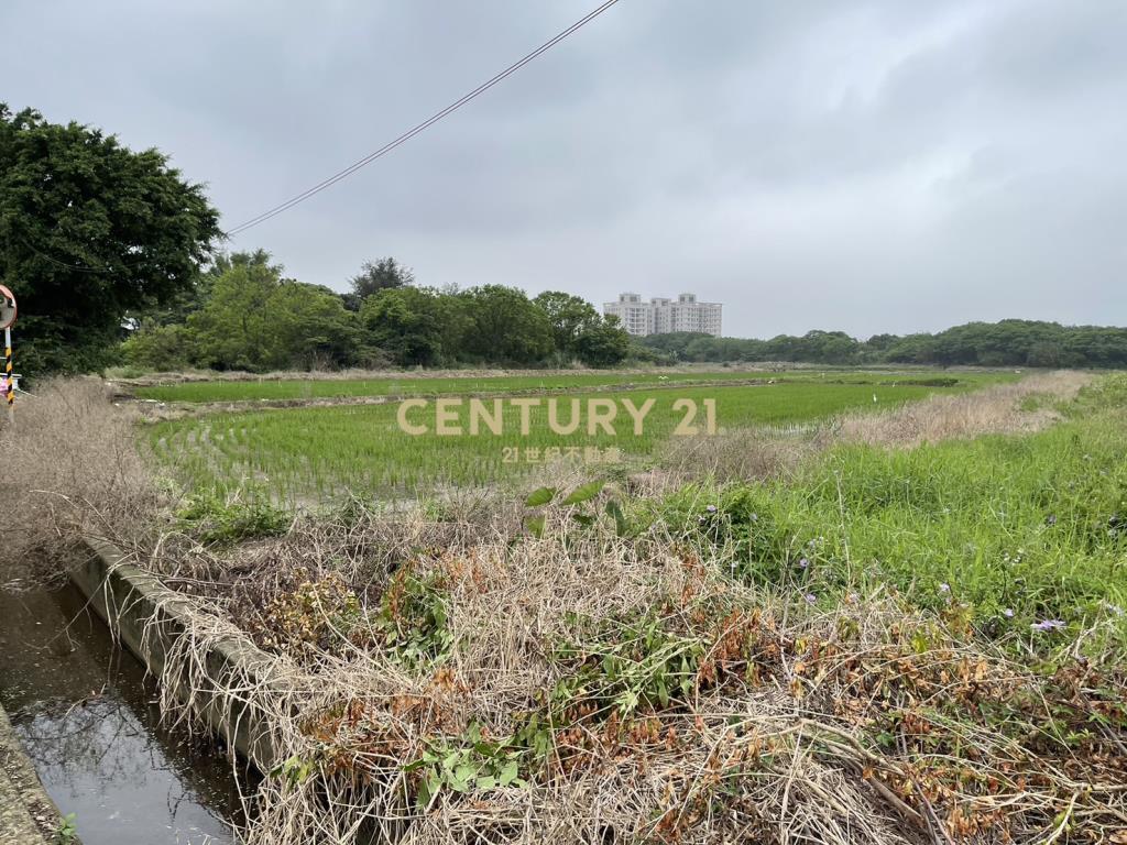 近青埔高鐵便宜700農地