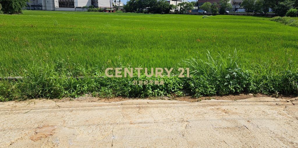 近青埔高鐵便宜700農地