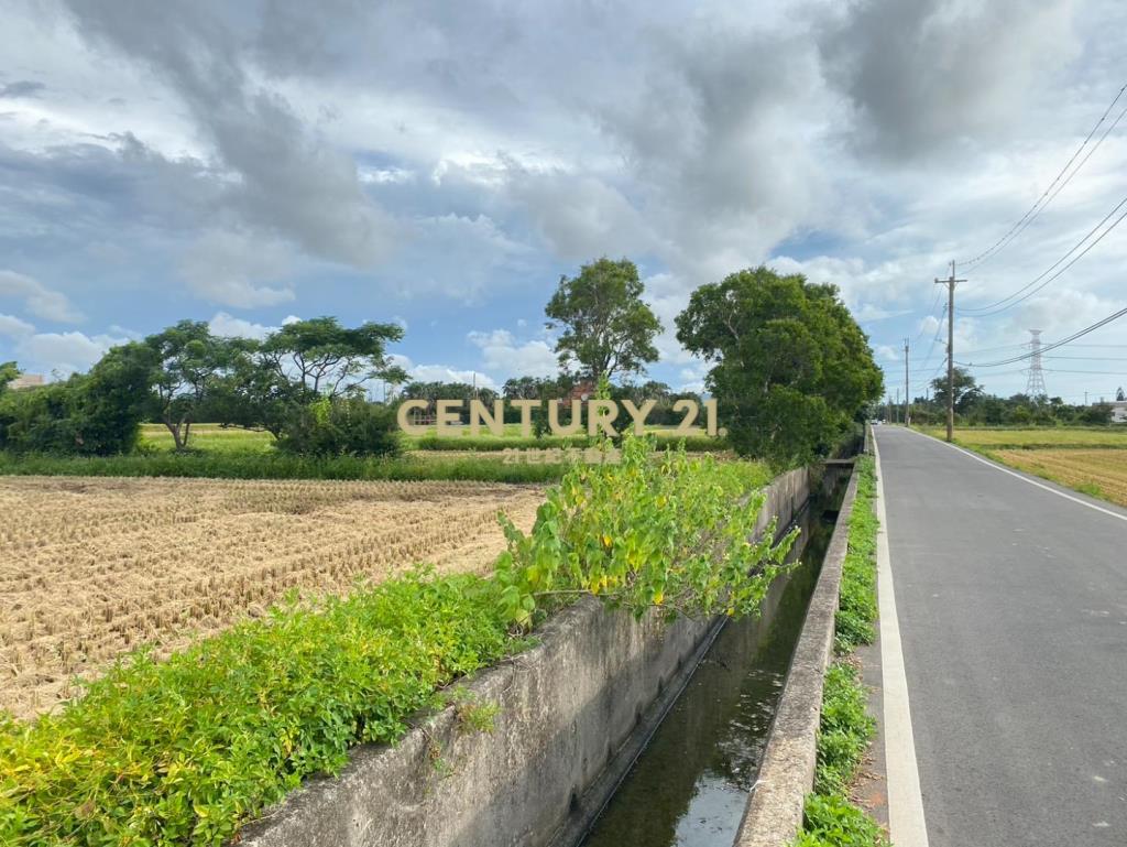 觀音區茄苳坑段雙臨路千坪農地