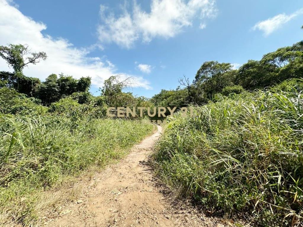 新竹新豐大面寬萬坪農地