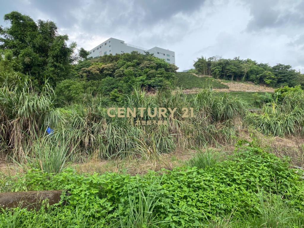 (專約)龍潭中豐路高平段持分農地(1)