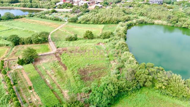 過嶺森林公園 大地坪特農