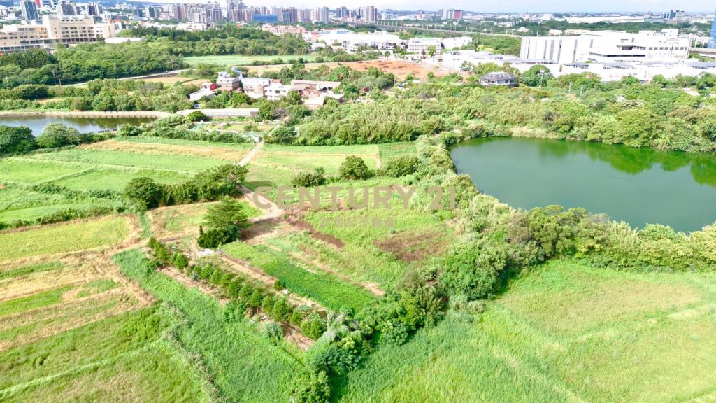 過嶺森林公園 大地坪特農