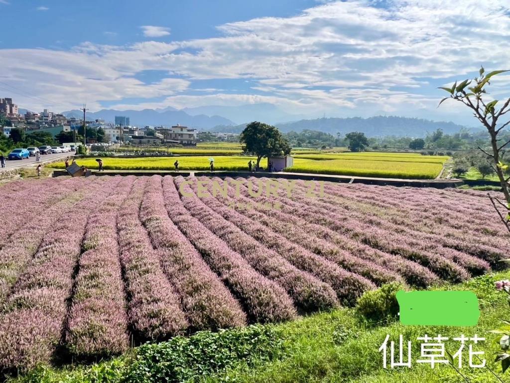 專任楊梅楊湖路旁方正農地