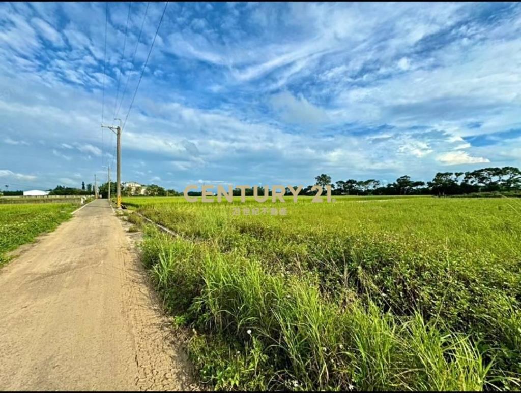 新湖口重劃區美田(2)