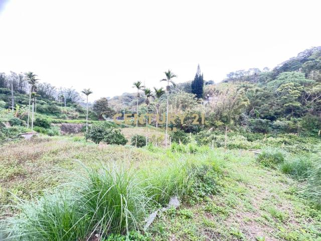 (A)新竹峨嵋果園農地