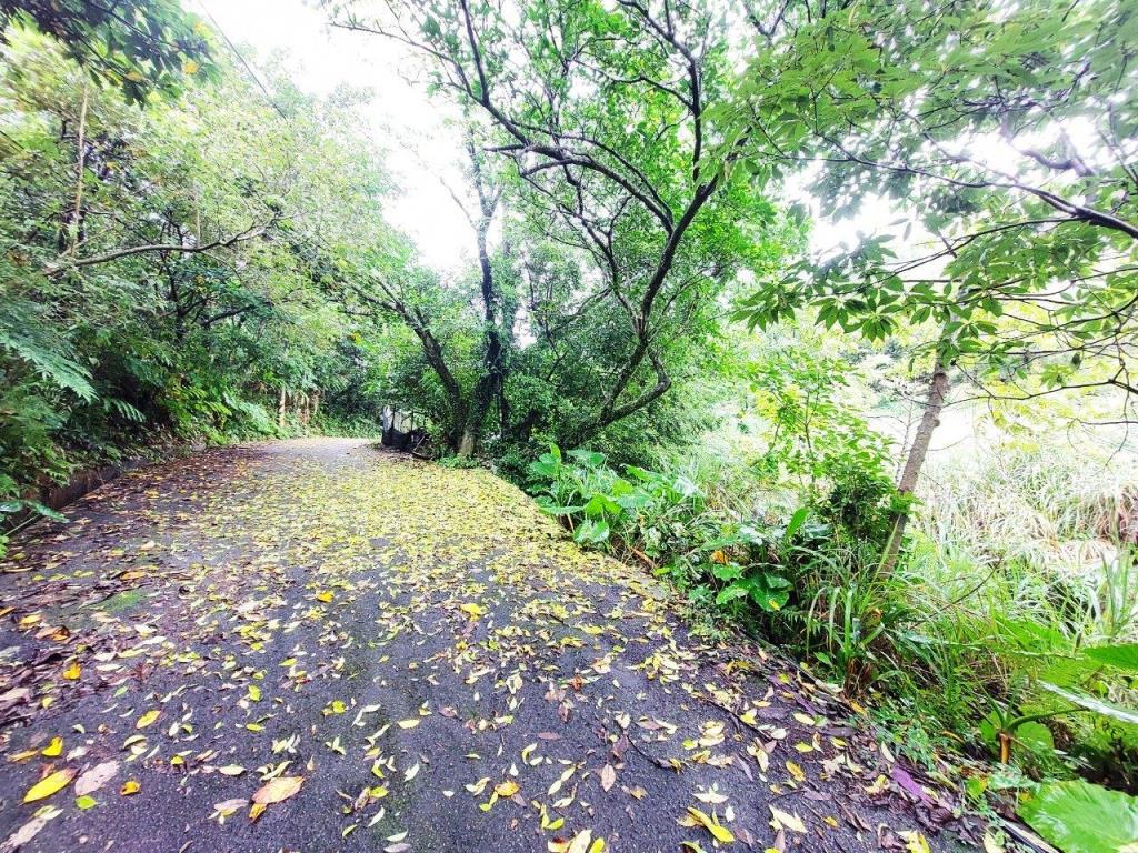 【向陽團隊】金山景觀美農地