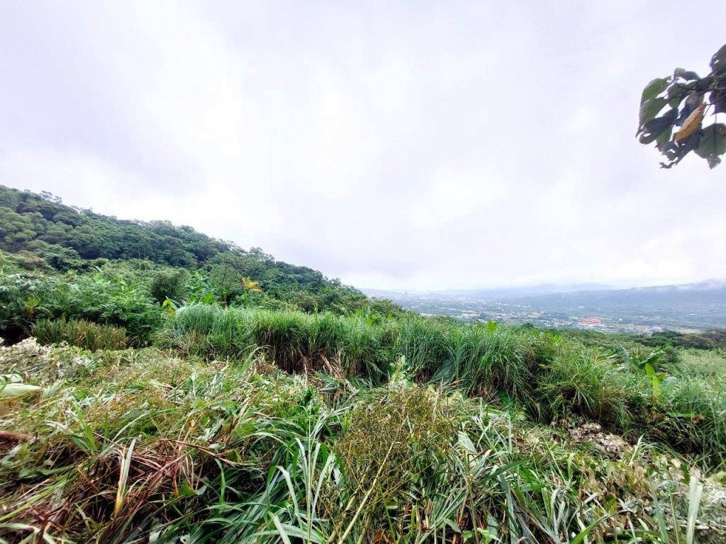 【向陽團隊】金山景觀美農地