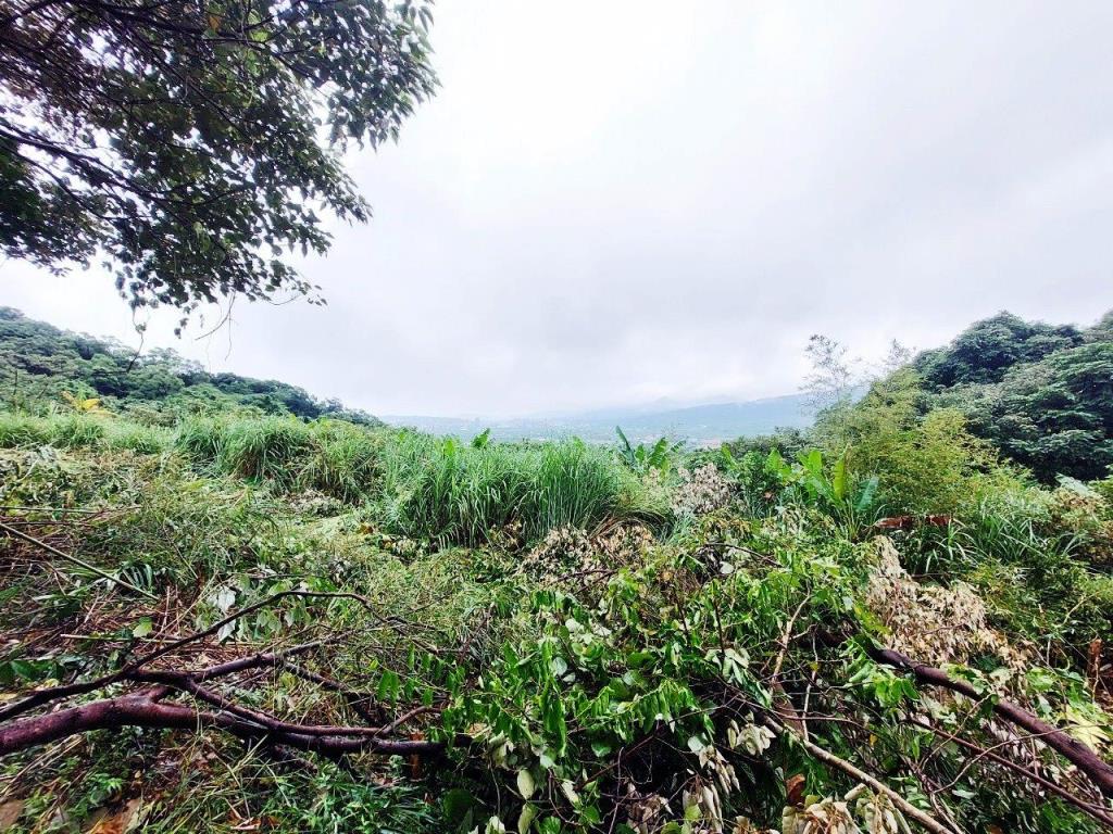 【向陽團隊】金山景觀美農地