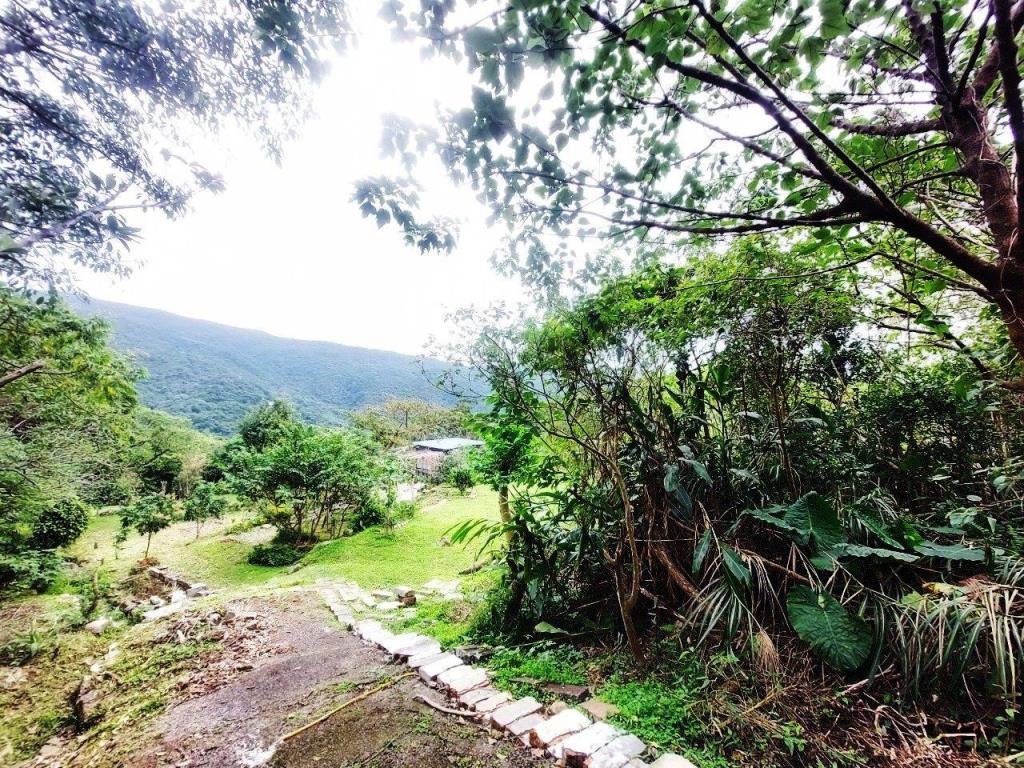 【向陽團隊】陽明山景觀農地