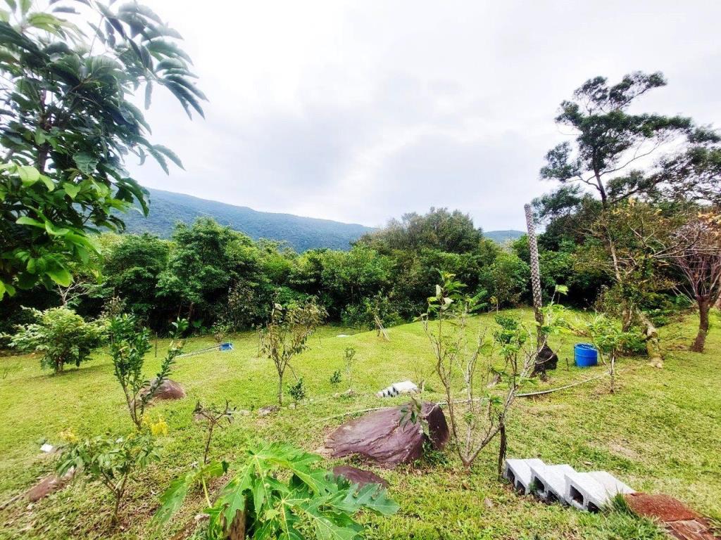 【向陽團隊】陽明山景觀農地