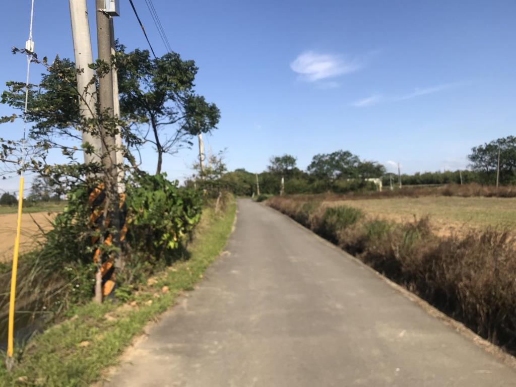 【向陽團隊】山東國小雙面路美田