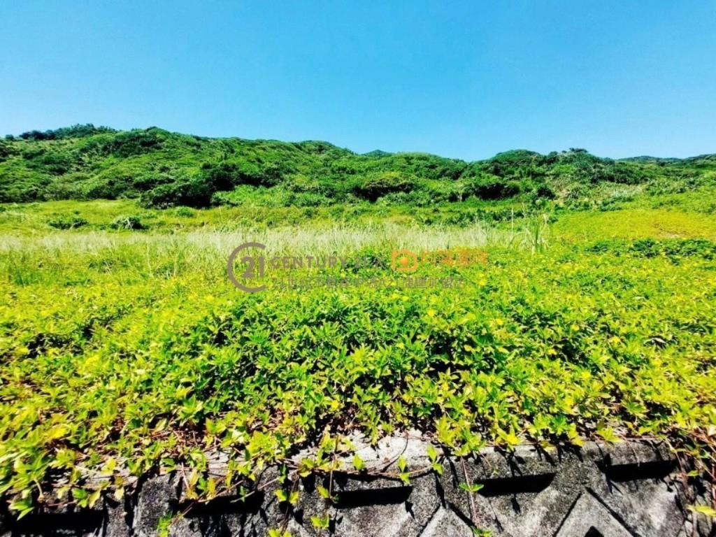 【向陽團隊】金山海景農地