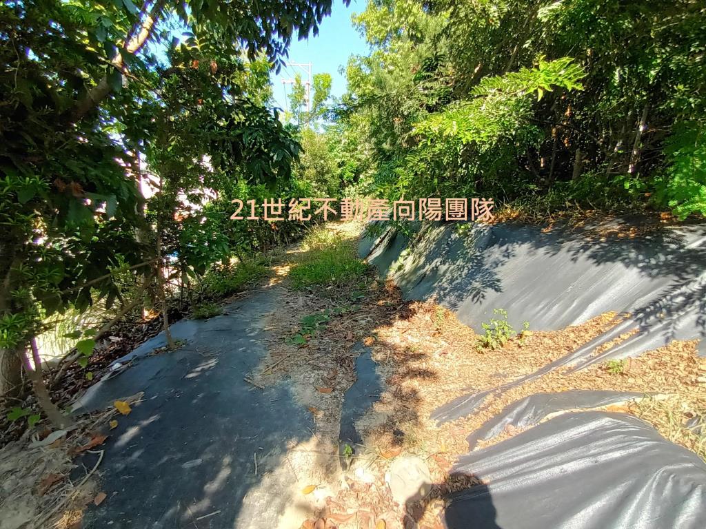 【向陽團隊】台中豐陽國中大面寬建地