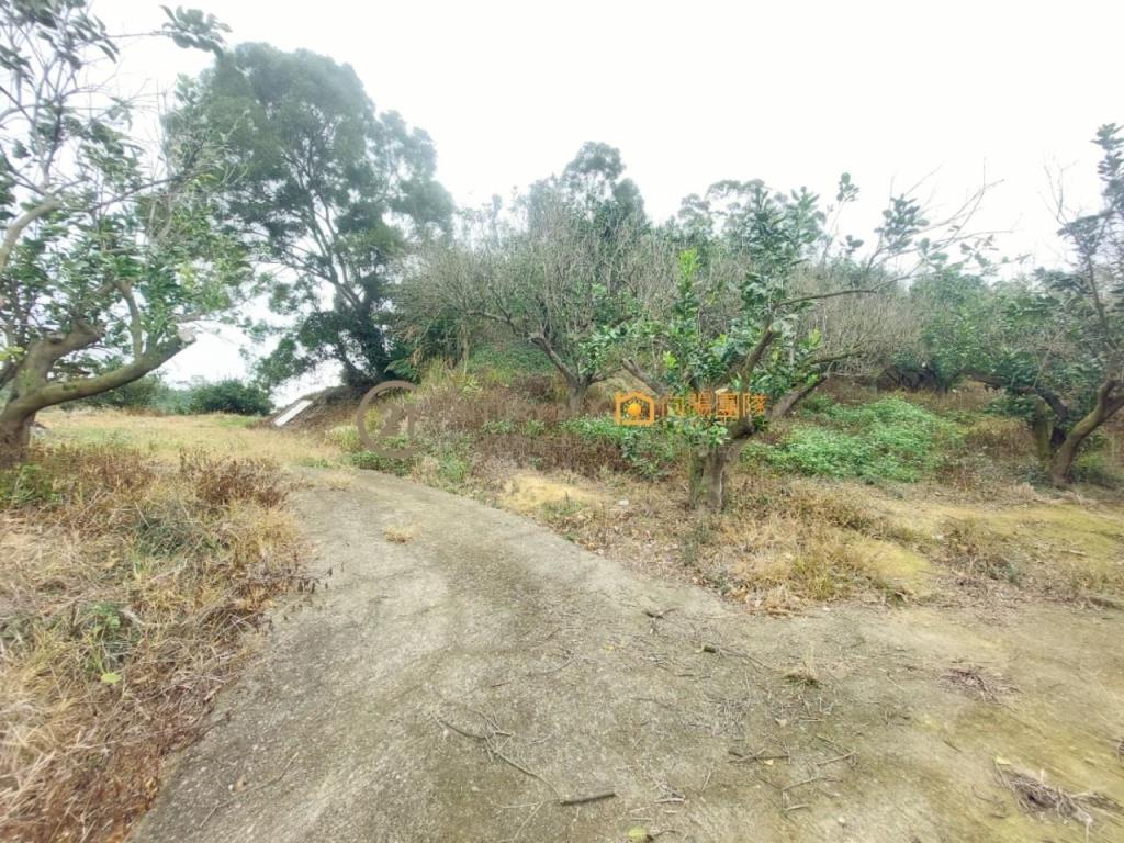 【向陽團隊】專任寶山景觀果園