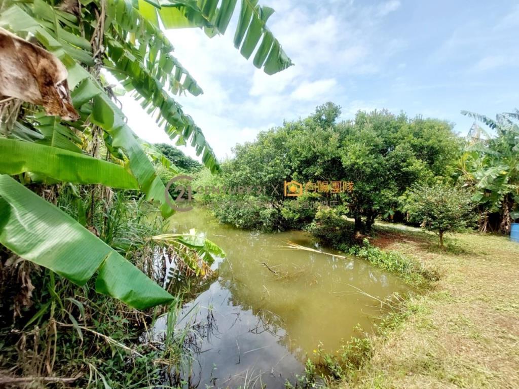 【向陽團隊】楊湖路美農地